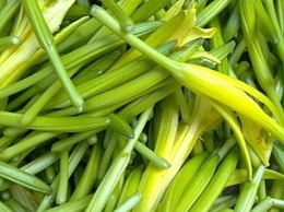 黄花菜优质高产有诀窍：精准施肥，步步为“赢”