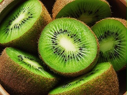 11月猕猴桃树越冬关键期：抓准3大管理要点