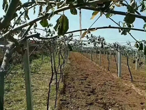 u=3401588109,2337882375&fm=173&app=25&f=JPEG