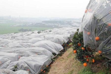 4a7fa3ad702e423f81d5ad19395f22dd