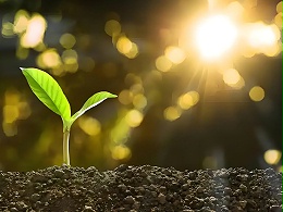 有机肥怎么用？一篇讲清核心要点