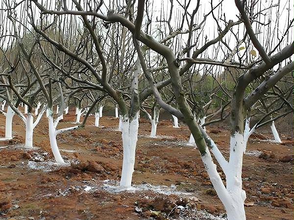 a69e8e1f7317e98870fdaaf7e2f7295