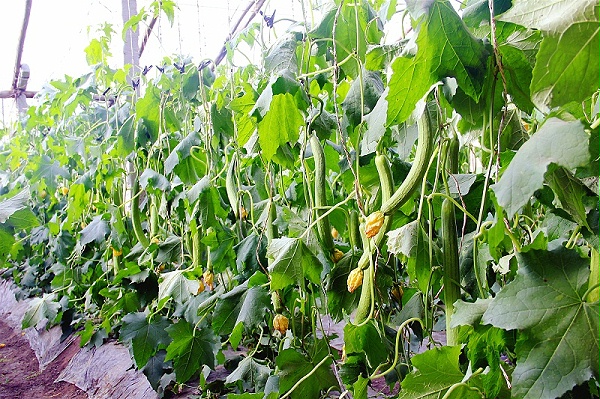 1580815_471fe5dd-4e2d-4ee5-95ac-b7e111ddca9c