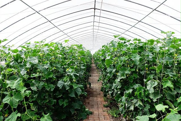 20240620235944171889918474873