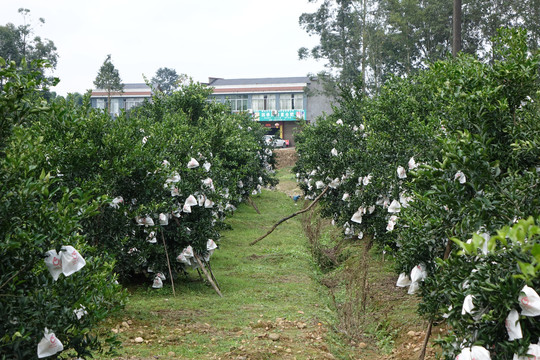 1839258_20201023234417010060_0