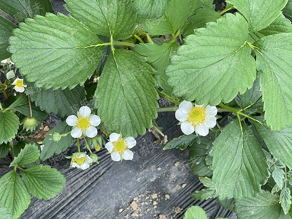 2022_03_13_10_08_IMG_6693_副本