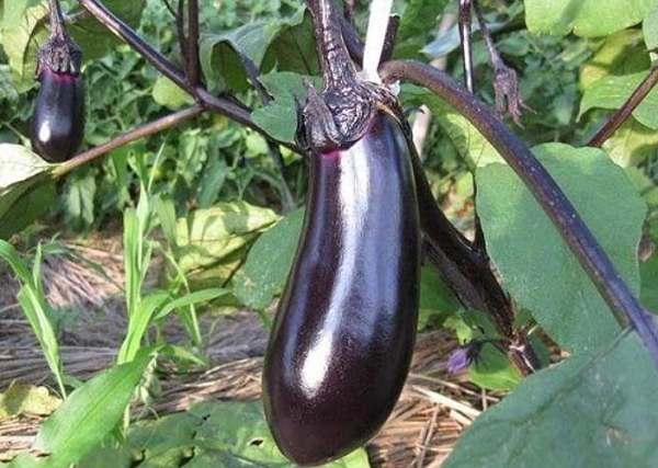 360截图20231019100454478