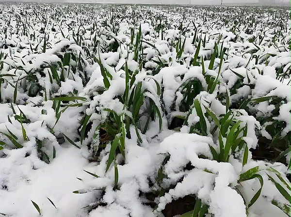 a257904d6eb4e730273f291b6718b9a