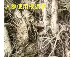 根腐病用什么水溶肥好？
