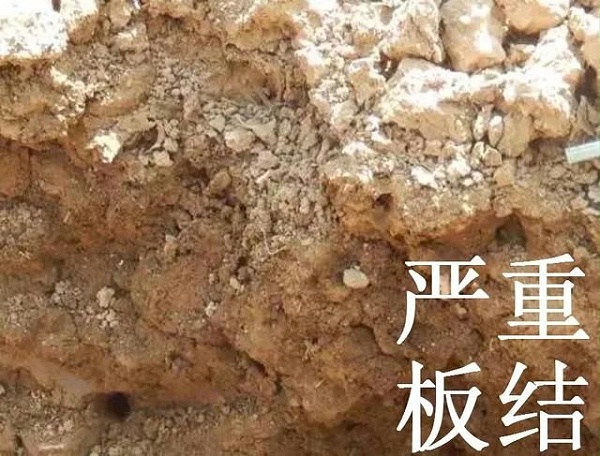 土壤板结1