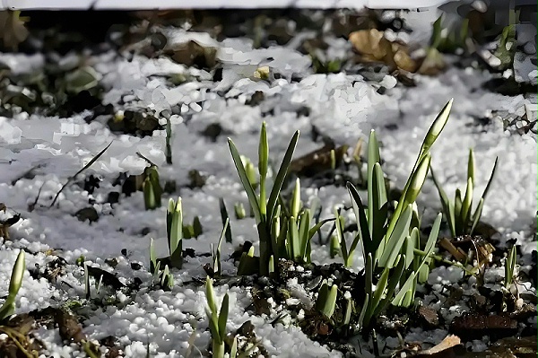 aa7a55b886a093d930c8328d068b53f