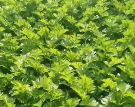 360截图20230524150307028